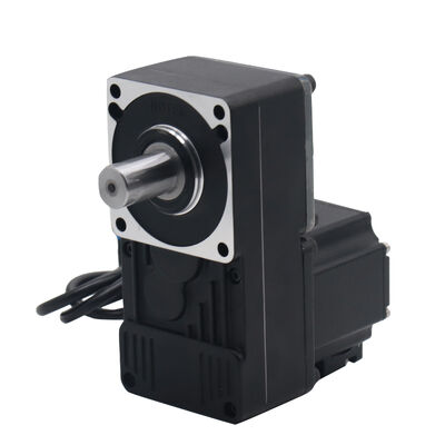 40W 24VDC 1800rpm Brushless Servo Motor για γύρους - χαμηλής τάσης DC Servo Motor